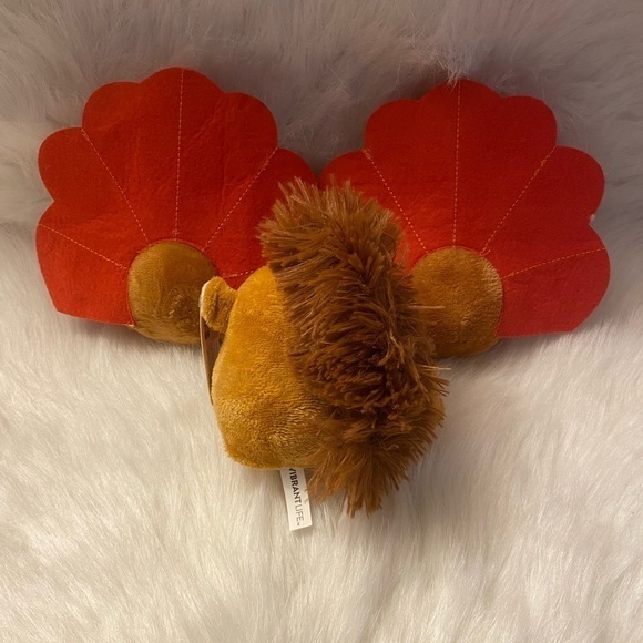 Vibrant Life Dog Toys Turkey And Squirrel Fall Bundle Lot Of Three‎ Pet Toy - Picture 5 of 5